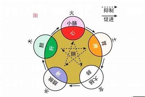 庭字五行|廷字的五行属性